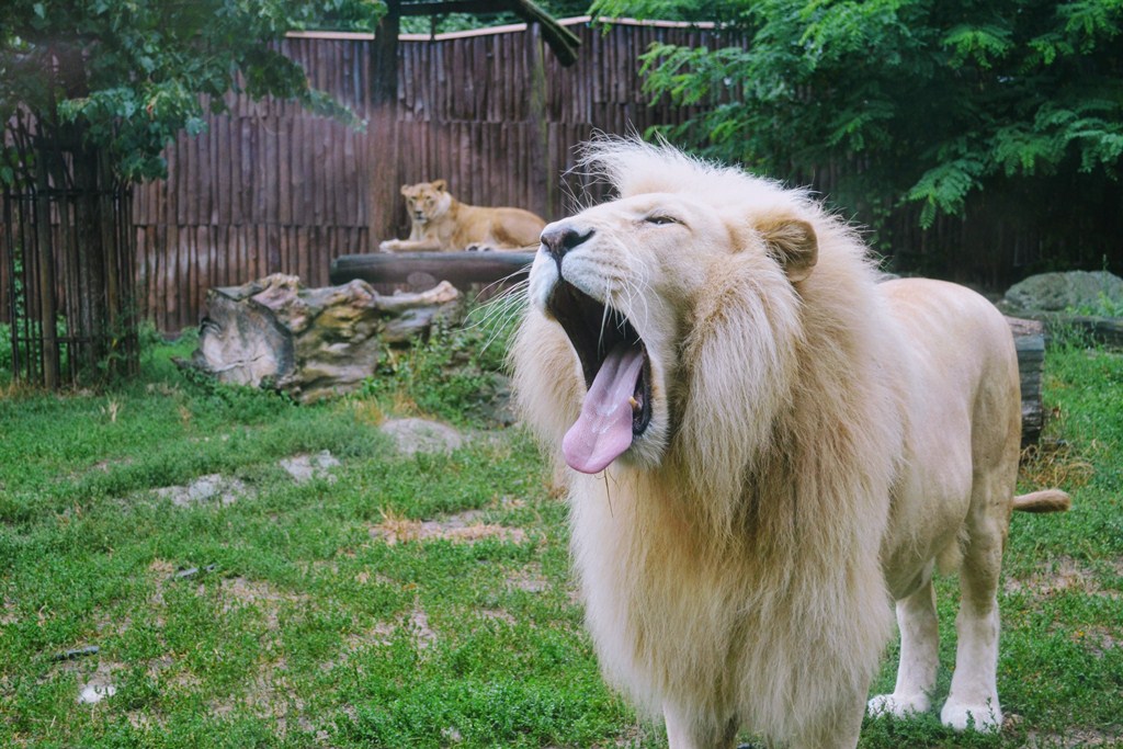 Bratislava Zoo