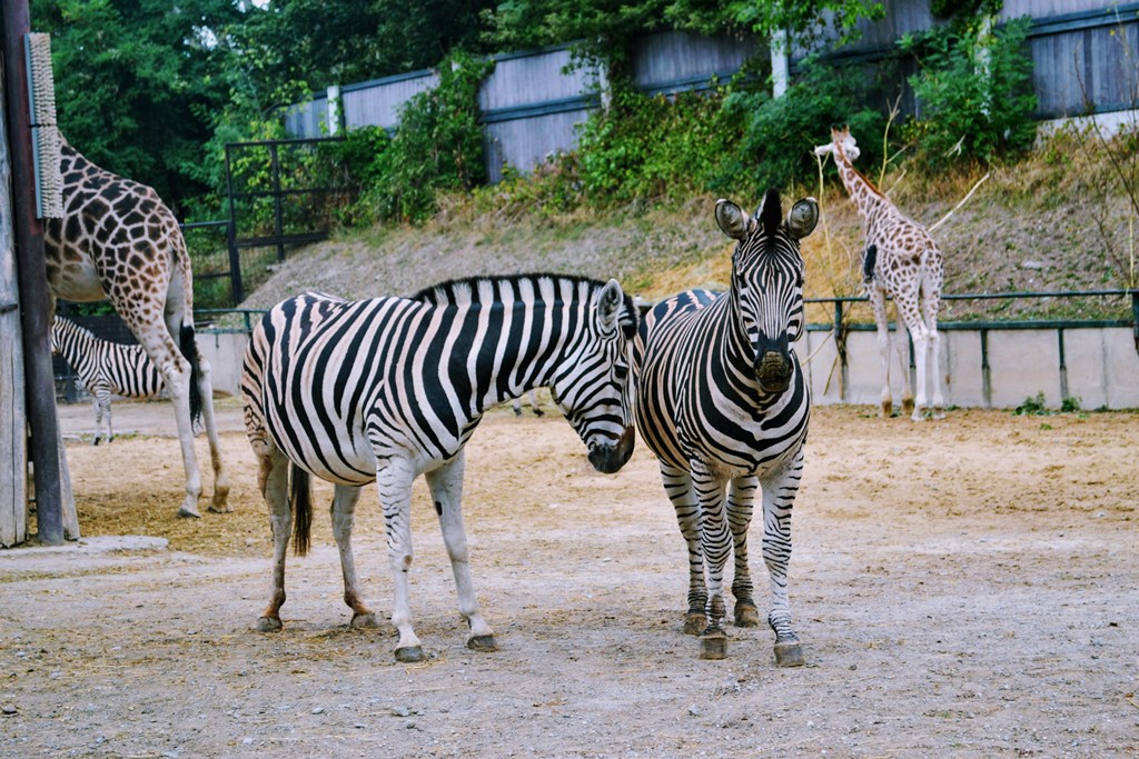 Bratislava Zoo